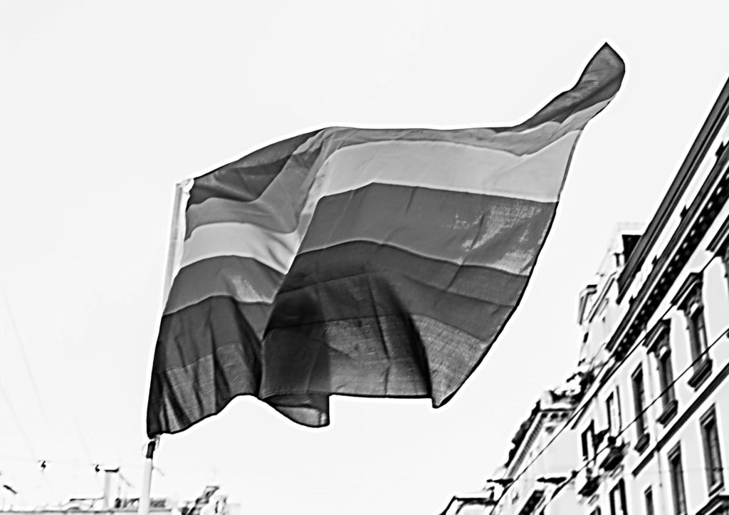 Gay Flag no colors
