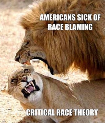 Conservatives telling CRT to BACK OFF - Lion analogy