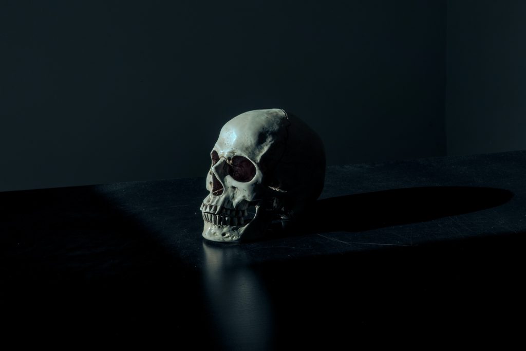 Human Skull black and white Photo