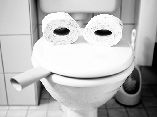 toilet face flush