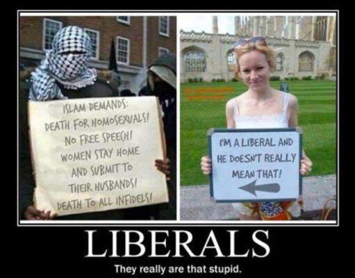 Islam-Liberal-Liberals