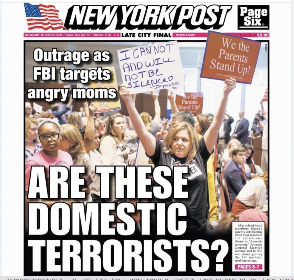 NY Post Cover - Are these domestic terrorists