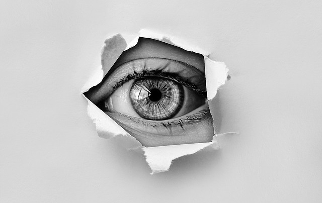 eye spying snoopin original Image on Pixabay from Pixabay x400