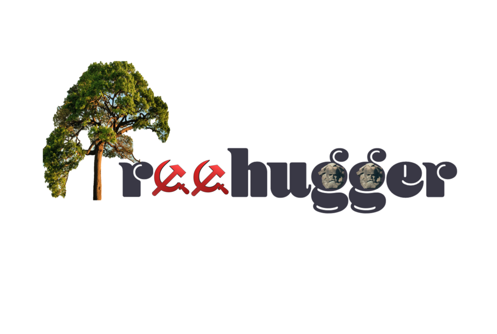 Grokified Treehugger Logo