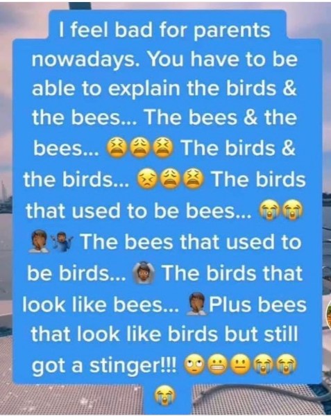 Modern Day Birds and the Bees