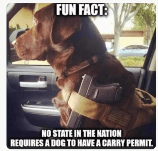 Dog with open carry