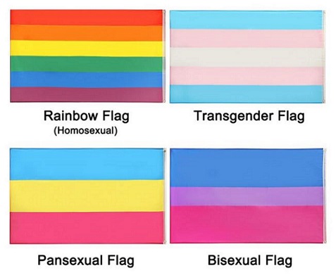 Gay Trans Pansexual Bi Flags