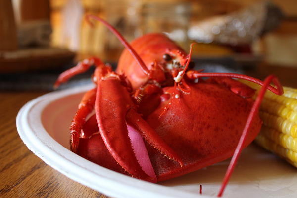https://www.redlobster.com/our-story/seafood-with-standards/sourcing-our-seafood