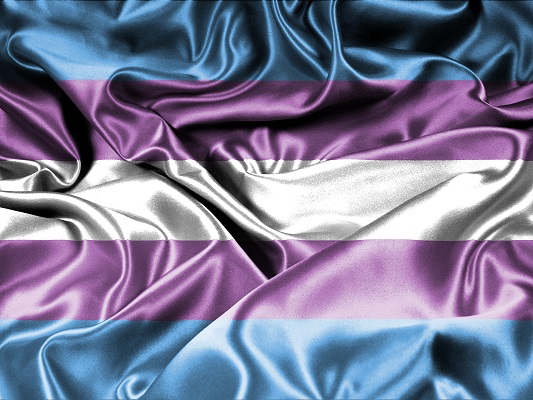 Trans pride flag original Photo by Lena Balk on Unsplash