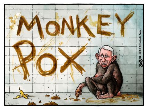 monkey pox fauci