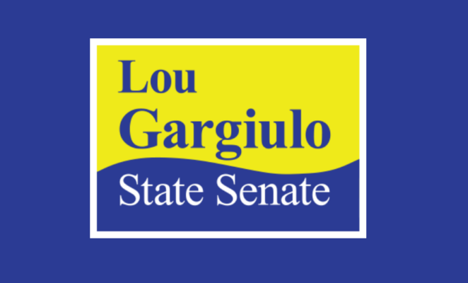 Lou Gargiulo NH Senate Candidate Sign