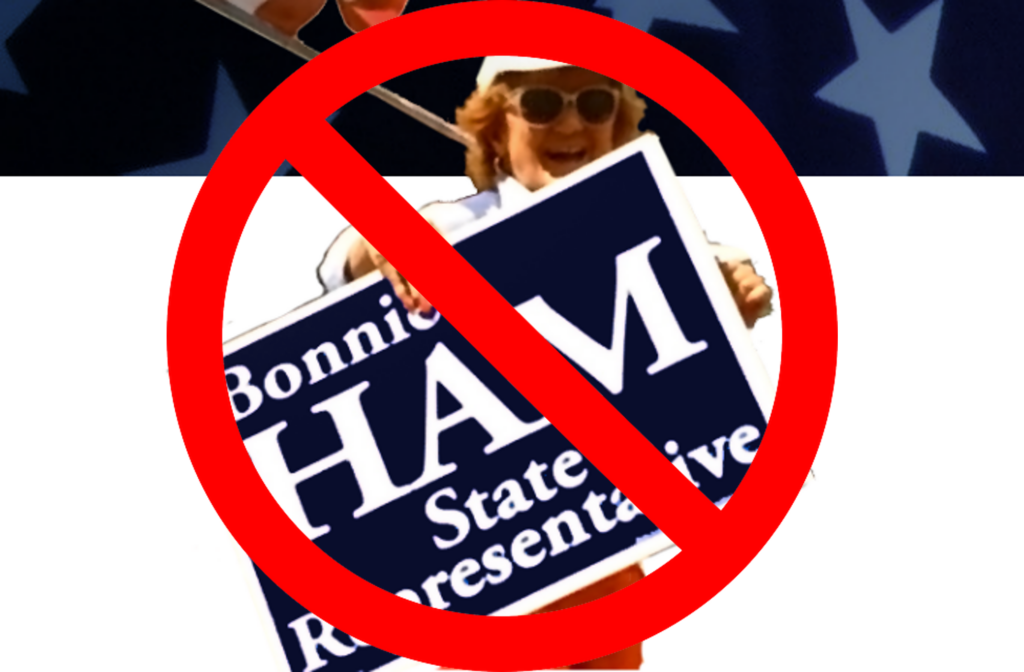 Bonni Ham for NH House NOT