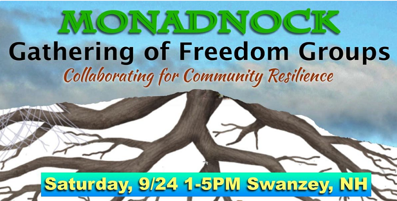 Monadnock freedom groups