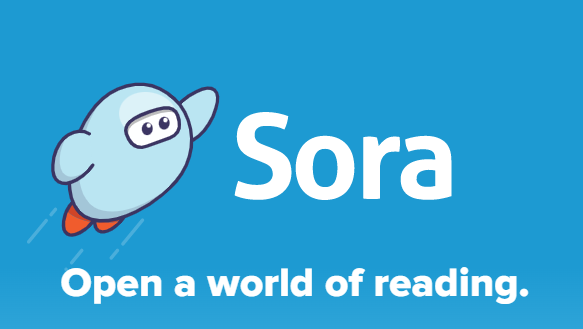 sora app splash screen grab