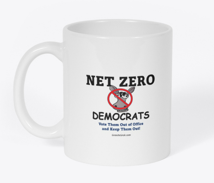 Net Zero Dems Mug
