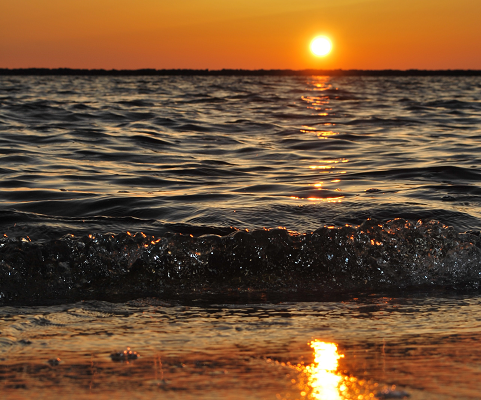 Ocean water shoreline beach sunset