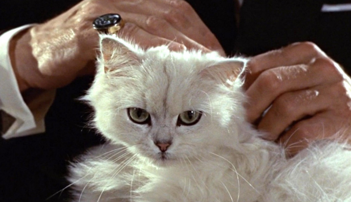 Bond Film Blofelds Cat movie screengrab villian