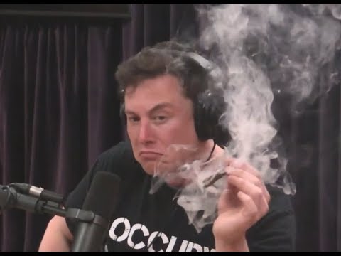 elon musk toking on a joint