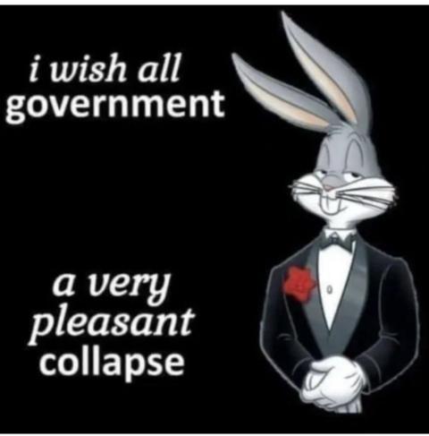 i wish all government