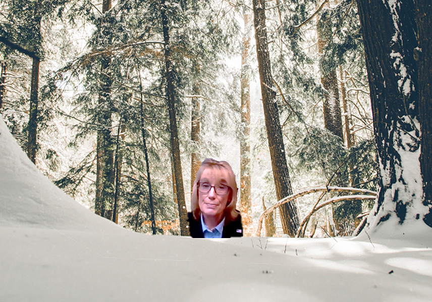 Hassan in the woods with snow2