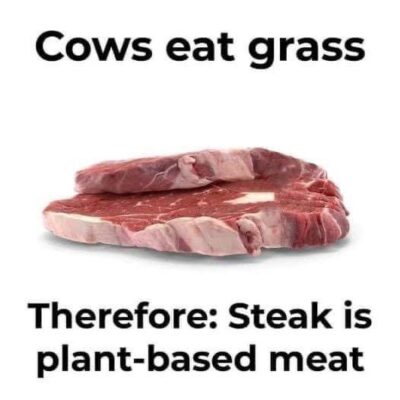 steak is plant based meat
