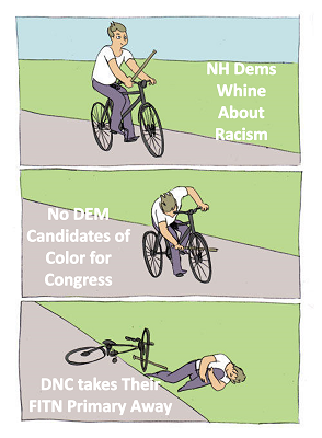 Bike Stick Meme NH Dems Lose Primary 400x