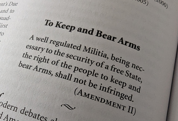 2A To Keep and bear arms, amendment 2 photo by SteveM