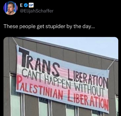 trans-liberation-gaza.jpg